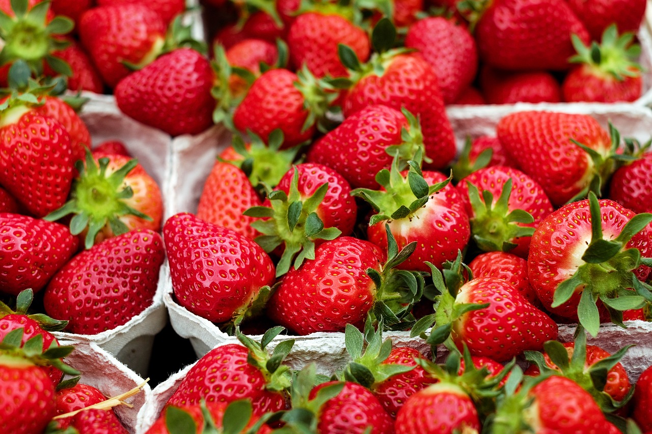 strawberries, fruit, red